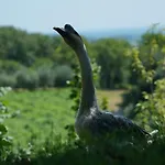 Agriturismo Ai Dossi